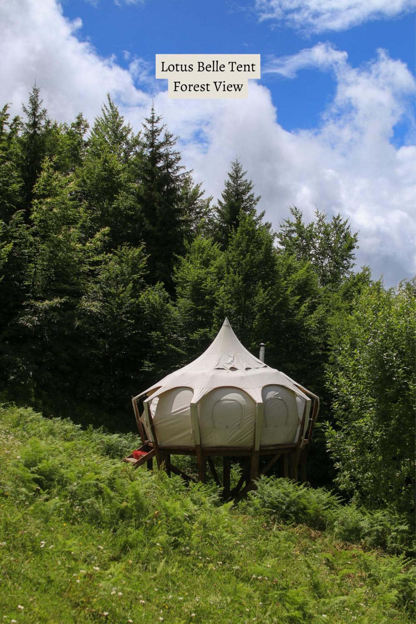 Hotel Glamping Tago Khulo Exteriér fotografie